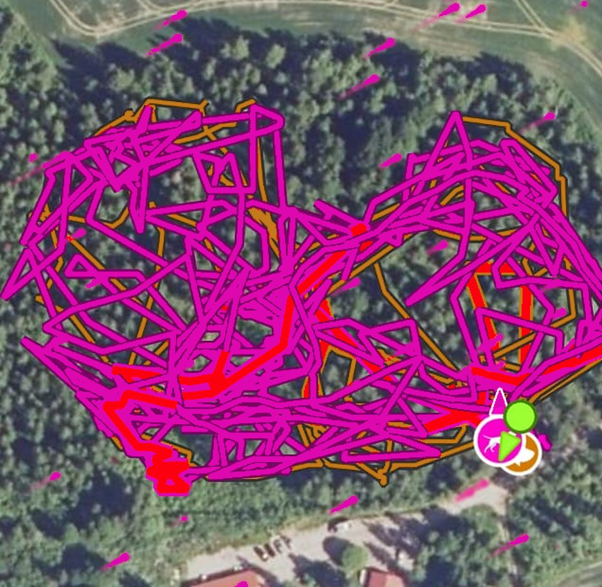Ilmakuva koirametsästä: yhden käynnin tiheä GPS-jälki pysyy kokonaan aidan sisäpuolella.